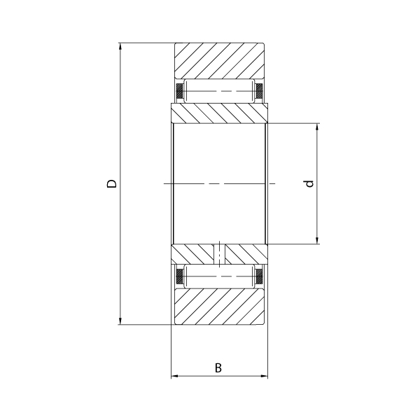 Needle track roller - yoke type – with cage and removable rings 2 2001 2d2