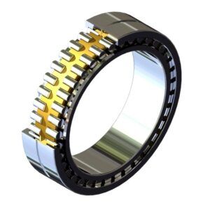 cuscinetti a rulli cilindrici a due corone di alta precisione High Precision two rows cylindrical roller bearing